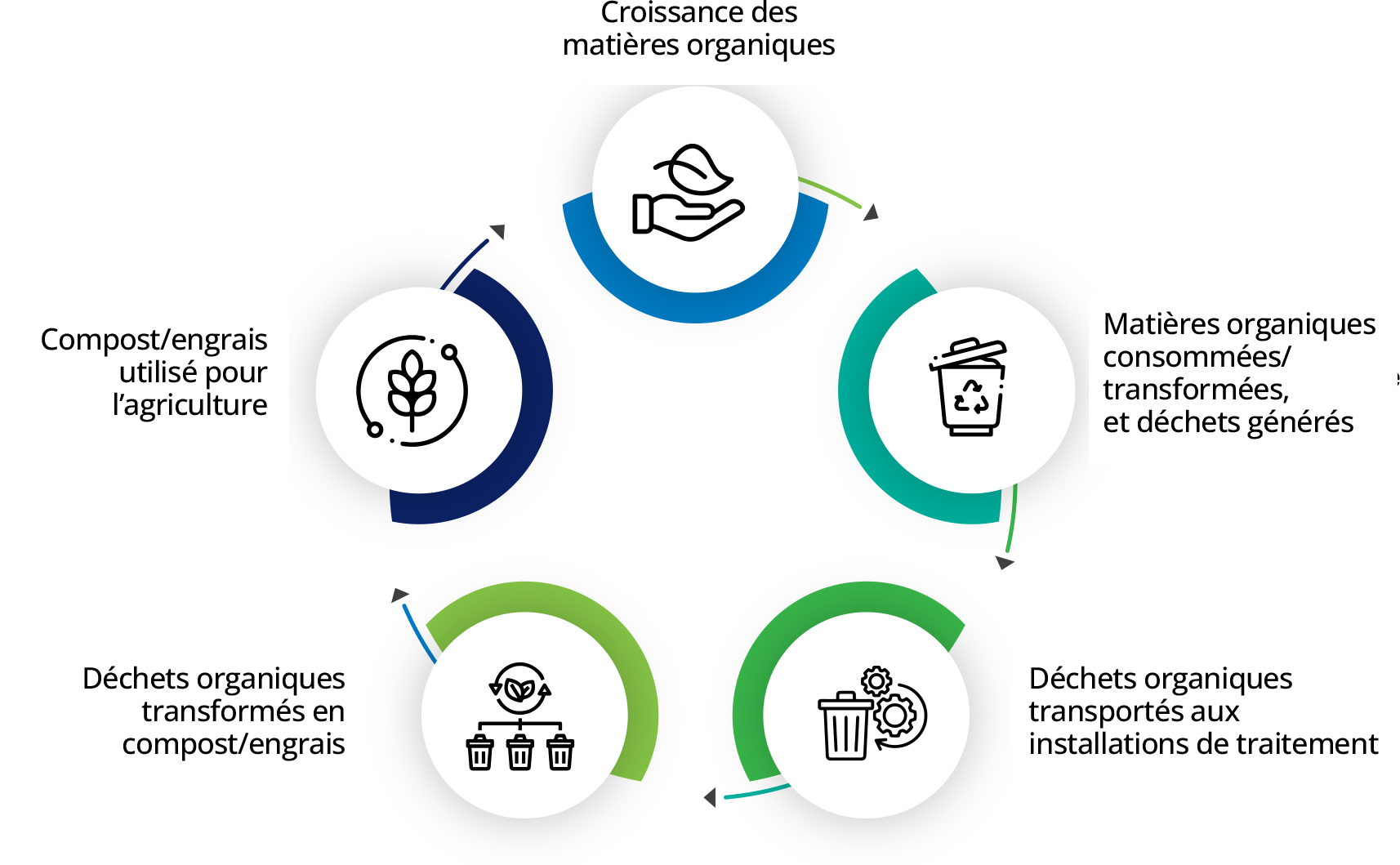 Diagram depicting the circular economy starting with organic growth, organics consumed / processed and waste generated, organic waste hauled to processing facilities, organic waste processed into compost/fertilizer, and compost/fertilizer used for agriculture.